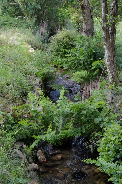 Andaina polos montes de Vilaboa coa Plataforma Montes do Morrazo