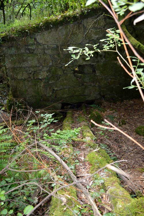 Andaina polos montes de Vilaboa coa Plataforma Montes do Morrazo