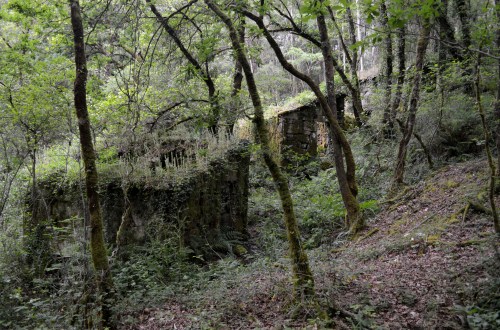 Andaina polos montes de Vilaboa coa Plataforma Montes do Morrazo