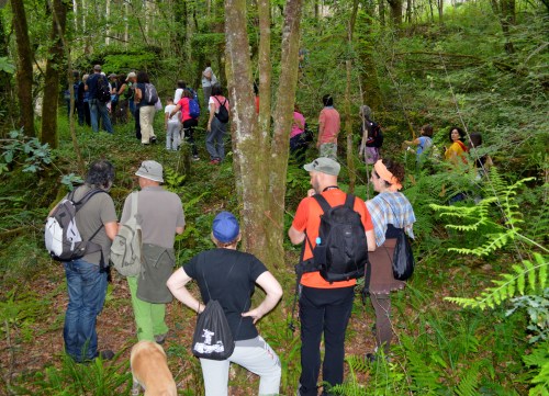 Andaina polos montes de Vilaboa coa Plataforma Montes do Morrazo