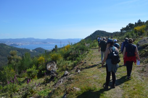 Ruta da Asociación de Propietarios de Monte Privado