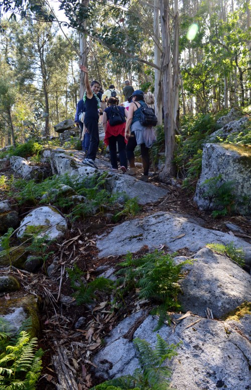 Ruta da Asociación de Propietarios de Monte Privado do Morrazo