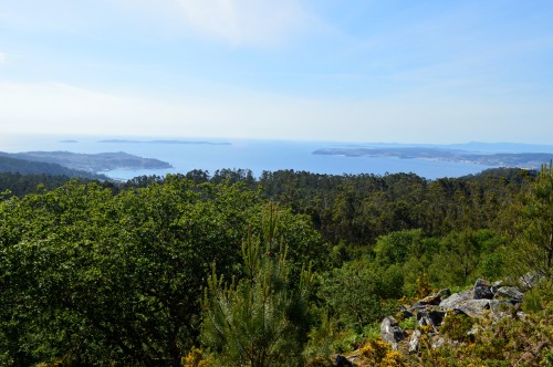 Ruta da Asociación de Propietarios de Monte Privado do Morrazo