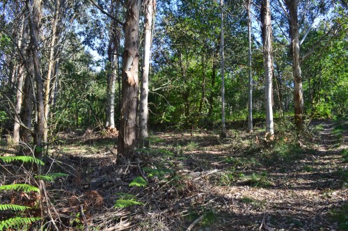 Ruta da Asociación de Propietarios de Monte Privado do Morrazo