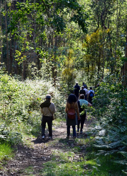 Ruta da Asociación de Propietarios de Monte Privado do Morrazo