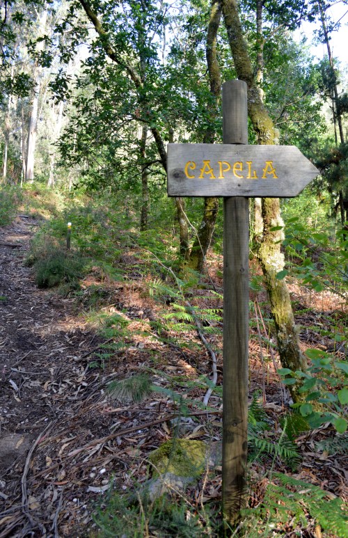 Ruta da Asociación de Propietarios de Monte Privado do Morrazo