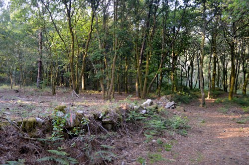 Ruta da Asociación de Propietarios de Monte Privado do Morrazo