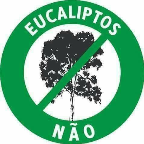 Incendio en Portugal