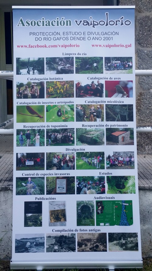 Presentación de "As herbas de San Xoán", de Amancio Castro