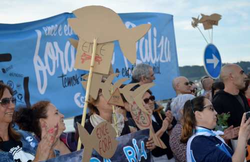 Marcha da APDR contra Celulosas-Elnosa, 2017