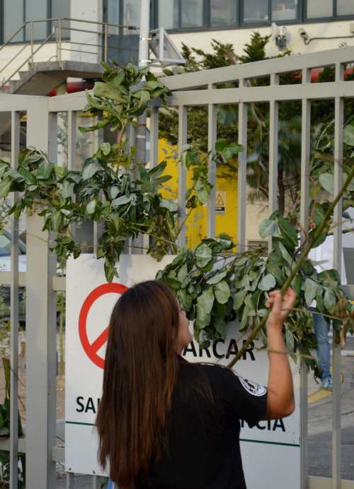 Marcha da APDR contra Celulosas-Elnosa, 2017