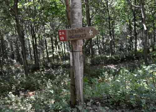 Ruta polo Carballal de Coiro coa Plataforma Montes do Morrazo