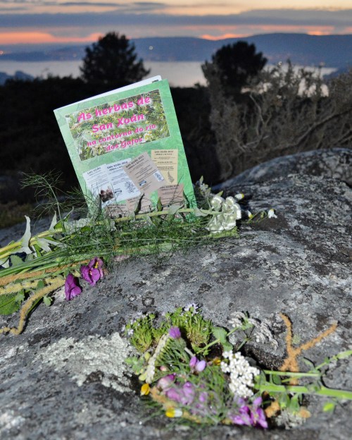 Libro das Herbas de San Xoán de Vaipolorío, no Monte Pituco.
