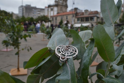 STOP eucaliptización