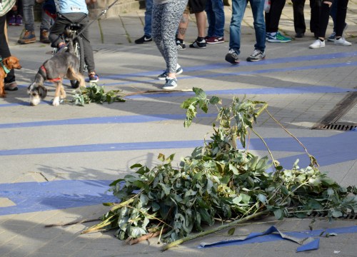 Marcha da APDR contra Celulosas-Elnosa, 2017