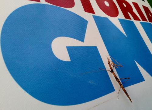 20170701_222154-minEntrega dos Premios Lingua de Ouro 2017 organizada por Queremos Galego Marín