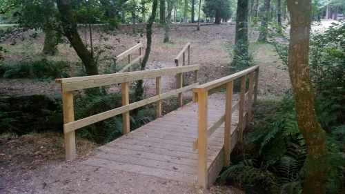 Lago de Castiñeiras, xullo de 2017