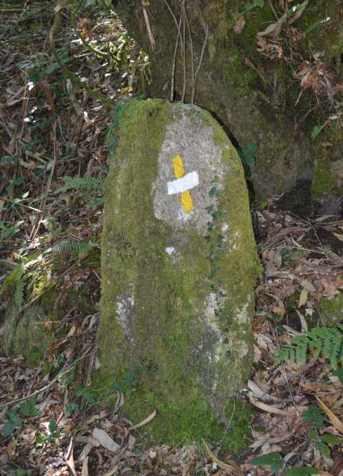 'Ruta da pedra' por Cotobade