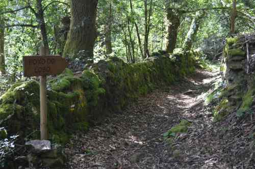 'Ruta da pedra' por Cotobade