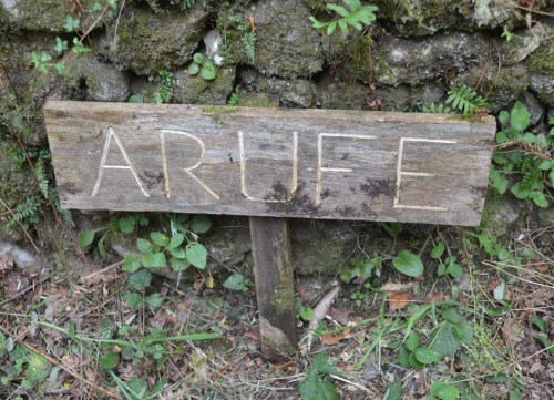 'Ruta da pedra' por Cotobade