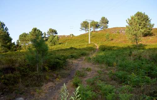 Próxima ruta nocturna cos rapaces de Comunix