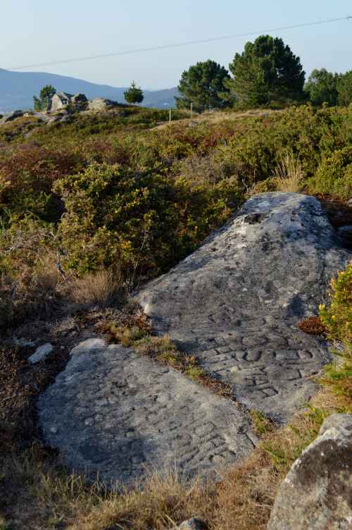 Próxima ruta nocturna cos rapaces de Comunix