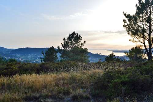 Próxima ruta nocturna cos rapaces de Comunix