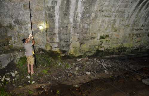 Noite Europea dos Morcegos, con Vaipolorío e Drosera no río Gafos