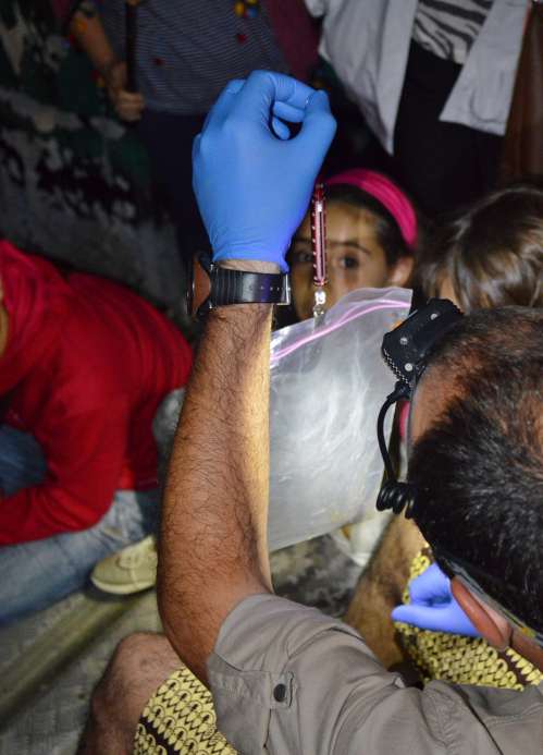 Noite Europea dos Morcegos, con Vaipolorío e Drosera no río Gafos