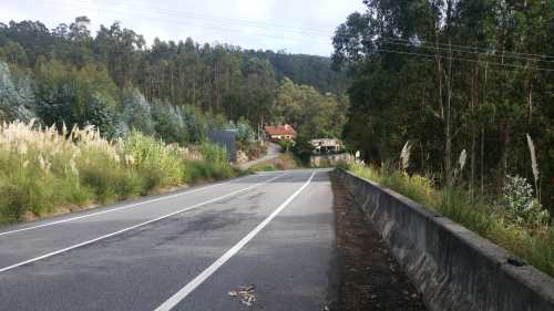 Propagación da herba da Pampa n'A Pena