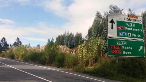 Propagación da herba da Pampa n'A Pena