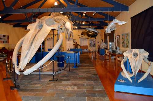 Museo da SGHN en Ferrol