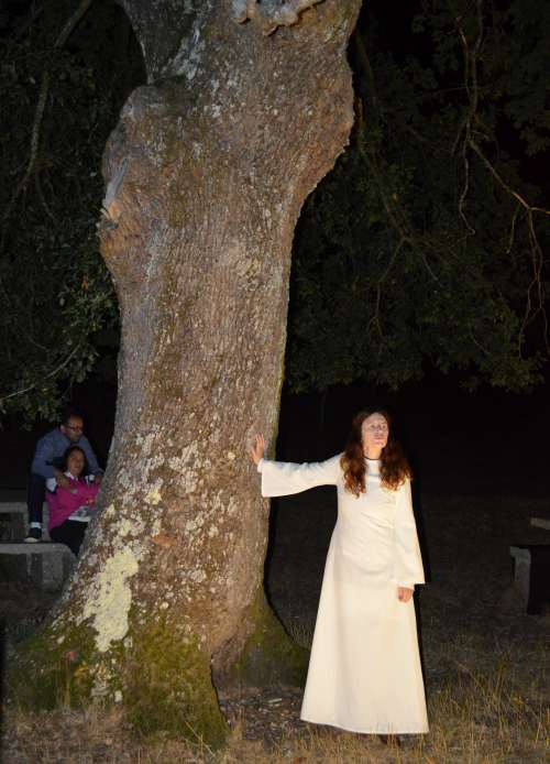 DSC_0042-minRuta nocturna aos petroglifos de Amoedo, Pazos de Borbén.