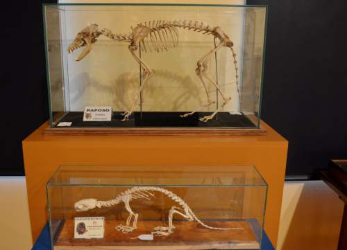 Museo da SGHN, en Ferrol