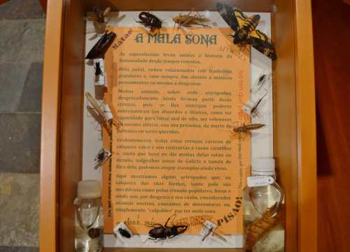 Museo da SGHN, en Ferrol