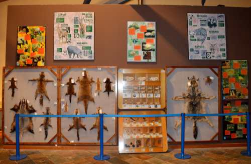 Museo da SGHN, en Ferrol