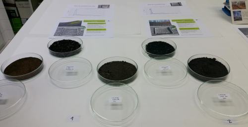 Centro de Investigación Forestal de Lourizán