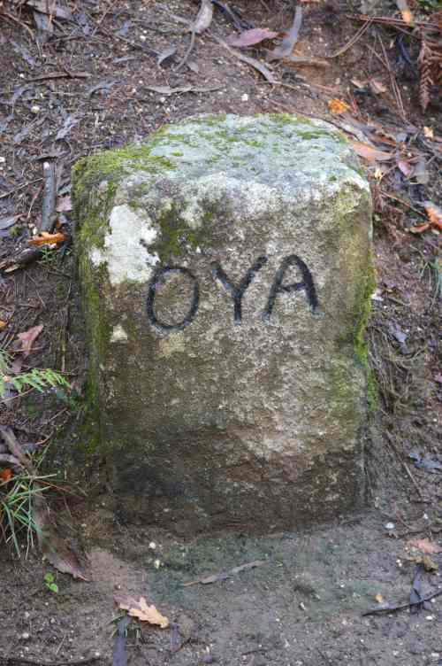 Marca de xurisdicción do mosteiro de Oia