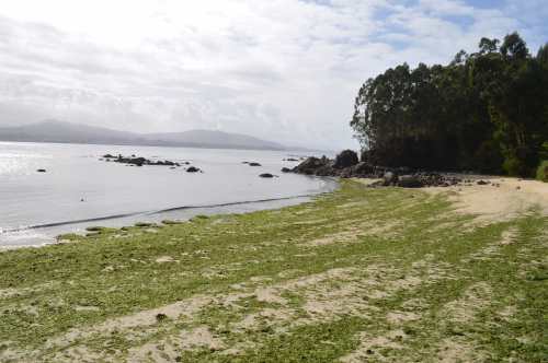 Praia do Niño do Corvo, Tirán (Moaña)