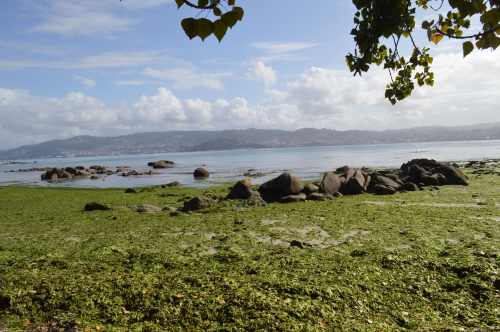 Litoral de Tirán, Moaña