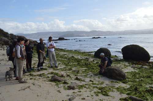 Litoral de Tirán, Moaña