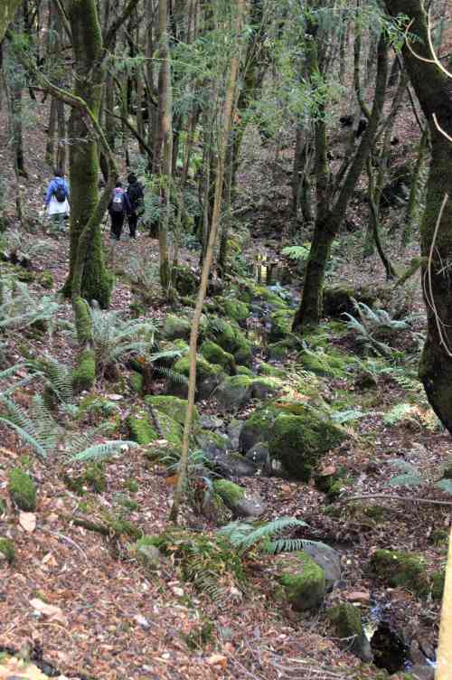 Ruta  das Xornadas polo patrimonio de San Xián