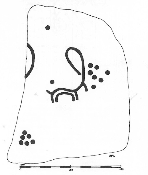 Calco de A Carrasca 2