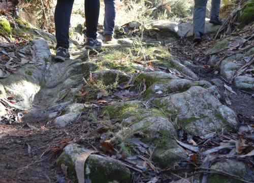 Itinerario da ruta pola protección do patrimonio de San Xián