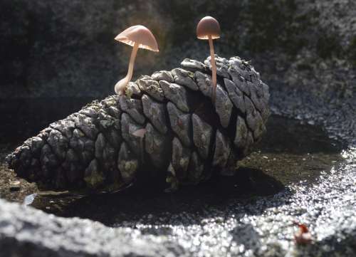 O que veremos na ruta por San Xián