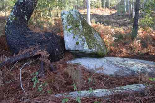 Ruta  das Xornadas polo patrimonio de San Xián