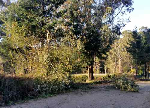 Efectos do paso do temporal "Ana" no Monte Pituco