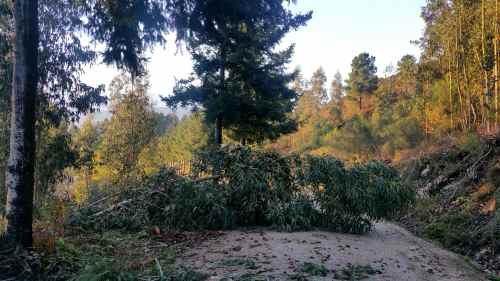 Efectos do paso do temporal "Ana" no Monte Pituco