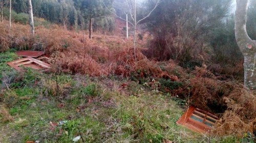 Verquido de portas, na pista forestal do Pituco.