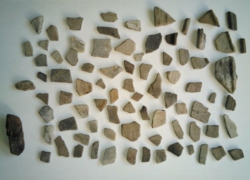 Restos de cerámica descubertos en Pelagartos